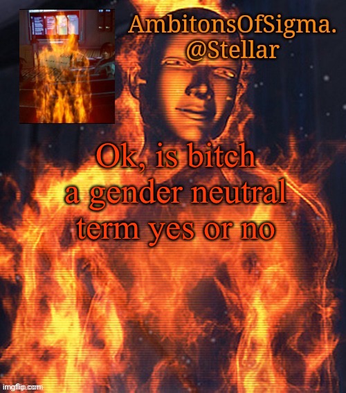 Haha you bitch | Ok, is bitch a gender neutral term yes or no | image tagged in ambitionsofsigma | made w/ Imgflip meme maker