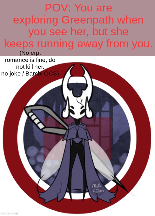 Scarab | POV: You are exploring Greenpath when you see her, but she keeps running away from you. (No erp, romance is fine, do not kill her, no joke / Bambi OCS) | image tagged in willow / scarab | made w/ Imgflip meme maker