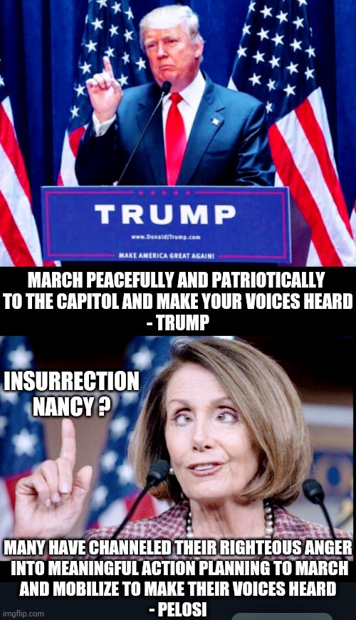 Hypocrite Nancy |  MARCH PEACEFULLY AND PATRIOTICALLY 
TO THE CAPITOL AND MAKE YOUR VOICES HEARD
- TRUMP; INSURRECTION
NANCY ? MANY HAVE CHANNELED THEIR RIGHTEOUS ANGER
 INTO MEANINGFUL ACTION PLANNING TO MARCH
 AND MOBILIZE TO MAKE THEIR VOICES HEARD 
- PELOSI | image tagged in liberals,democrats,nancy pelosi,biden,donald trump,congress | made w/ Imgflip meme maker