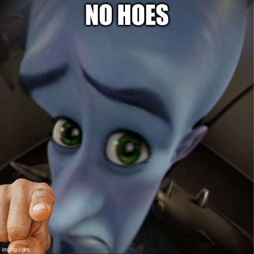 Megamind peeking | NO HOES | image tagged in megamind peeking | made w/ Imgflip meme maker