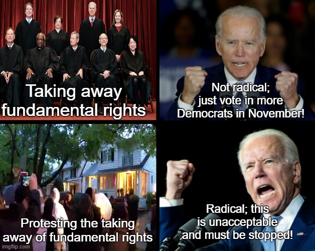 Biden is spineless | Not radical; just vote in more Democrats in November! Taking away fundamental rights; Radical; this is unacceptable and must be stopped! Protesting the taking away of fundamental rights | image tagged in joe biden,fuck joe biden,abortion,roe v wade,protest,liberal logic | made w/ Imgflip meme maker