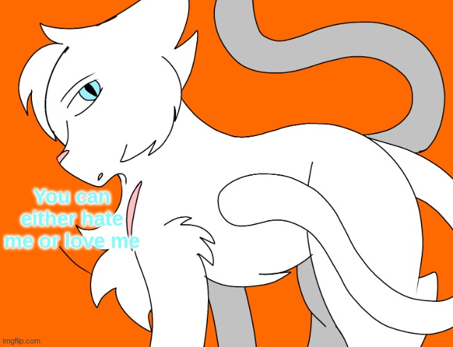 Spire's canon design | You can either hate me or love me | image tagged in spire's canon design | made w/ Imgflip meme maker