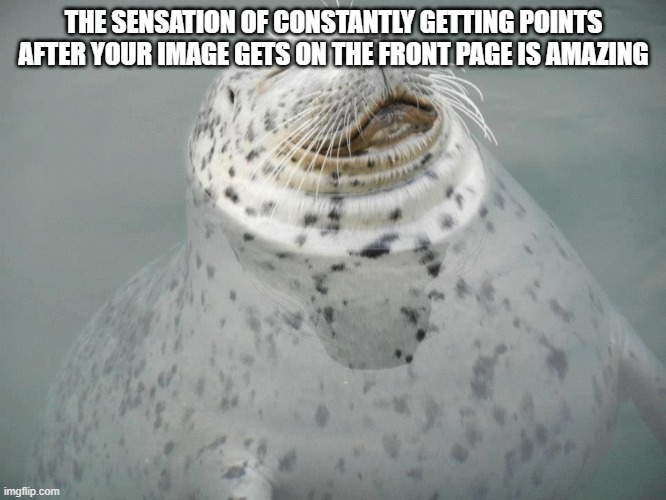 THE SENSATION OF CONSTANTLY GETTING POINTS AFTER YOUR IMAGE GETS ON THE FRONT PAGE IS AMAZING | made w/ Imgflip meme maker