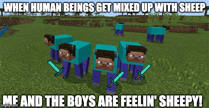 minecraft gets complicated | WHEN HUMAN BEINGS GET MIXED UP WITH SHEEP; ME AND THE BOYS ARE FEELIN' SHEEPY! | image tagged in me and the boys | made w/ Imgflip meme maker