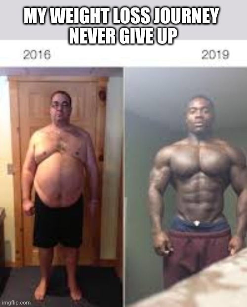 MY WEIGHT LOSS JOURNEY 
NEVER GIVE UP | image tagged in funny memes | made w/ Imgflip meme maker