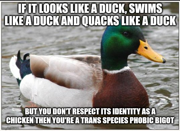 If the duck test was invented by an SJW |  IF IT LOOKS LIKE A DUCK, SWIMS LIKE A DUCK AND QUACKS LIKE A DUCK; BUT YOU DON'T RESPECT ITS IDENTITY AS A CHICKEN THEN YOU'RE A TRANS SPECIES PHOBIC BIGOT | image tagged in memes,actual advice mallard,sjws,liberal logic,gender confusion | made w/ Imgflip meme maker