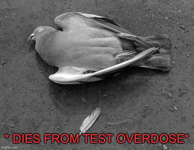 * DIES FROM TEST OVERDOSE* | made w/ Imgflip meme maker