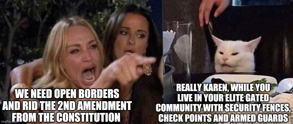 1984 | WE NEED OPEN BORDERS AND RID THE 2ND AMENDMENT FROM THE CONSTITUTION; REALLY KAREN, WHILE YOU LIVE IN YOUR ELITE GATED COMMUNITY WITH SECURITY FENCES, CHECK POINTS AND ARMED GUARDS | image tagged in woman yelling at cat,democrats,open borders,illegal immigration,karen,republicans | made w/ Imgflip meme maker