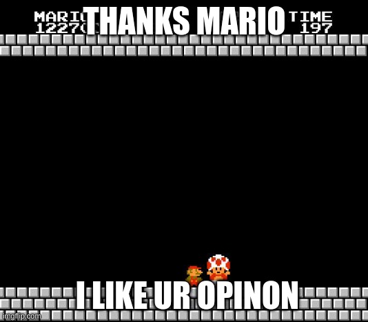 THANKS MARIO I LIKE UR OPINON | image tagged in thank you mario | made w/ Imgflip meme maker