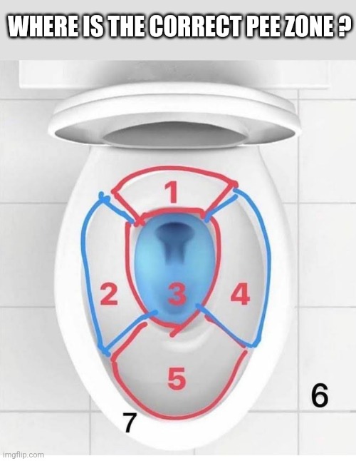 WHERE IS THE CORRECT PEE ZONE ? | image tagged in funny memes | made w/ Imgflip meme maker