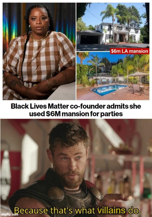 What a scam! | villains | image tagged in memes,blm,black lives matter,democrats,scam,mansions | made w/ Imgflip meme maker