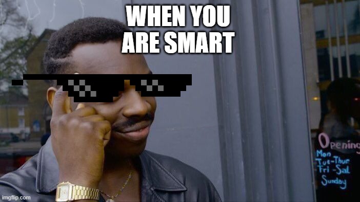 Smarts | WHEN YOU ARE SMART | image tagged in memes,roll safe think about it | made w/ Imgflip meme maker