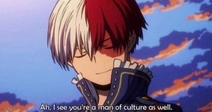 Shoto ah I see your a man is culture as well | image tagged in shoto ah i see your a man is culture as well | made w/ Imgflip meme maker