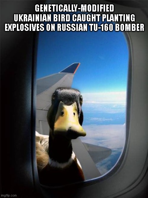 Ukraine's genetically-modified birds | GENETICALLY-MODIFIED UKRAINIAN BIRD CAUGHT PLANTING EXPLOSIVES ON RUSSIAN TU-160 BOMBER | image tagged in let me in duck | made w/ Imgflip meme maker