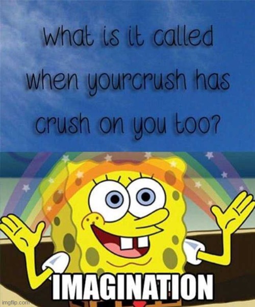 When your likes you. | image tagged in sponge bob rainbow meme | made w/ Imgflip meme maker