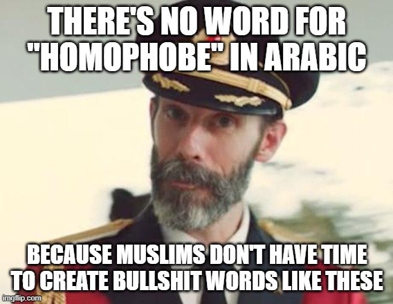 Captain Obvious | THERE'S NO WORD FOR
"HOMOPHOBE" IN ARABIC; BECAUSE MUSLIMS DON'T HAVE TIME TO CREATE BULLSHIT WORDS LIKE THESE | image tagged in captain obvious,homophobic,homophobia,homophobe,arabic,bullshit | made w/ Imgflip meme maker