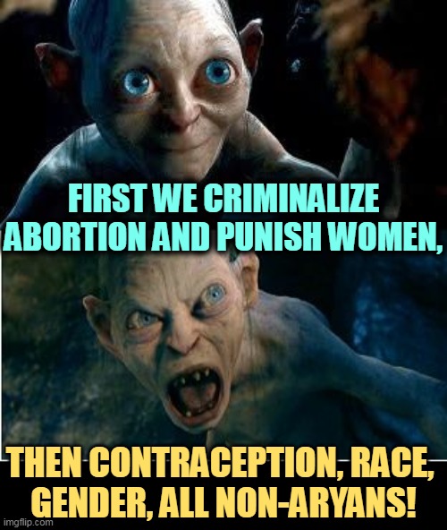 Achtung! Brown vs. Board of Education, look out! | FIRST WE CRIMINALIZE ABORTION AND PUNISH WOMEN, THEN CONTRACEPTION, RACE, 
GENDER, ALL NON-ARYANS! | image tagged in gollum,criminal,abortion,punishment,women,race | made w/ Imgflip meme maker