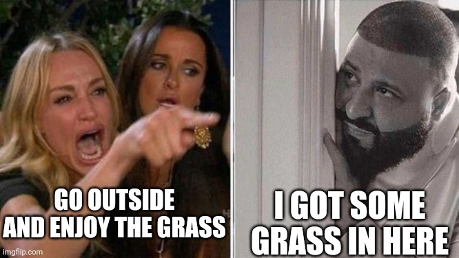 When mom yells at me | GO OUTSIDE AND ENJOY THE GRASS I GOT SOME GRASS IN HERE | image tagged in when mom yells at me | made w/ Imgflip meme maker