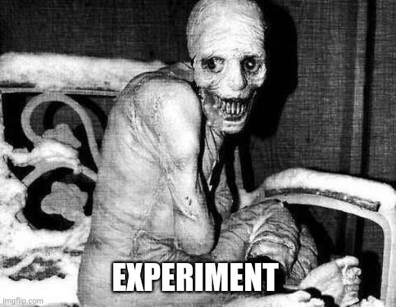 Russian Sleep Experiment | EXPERIMENT | image tagged in russian sleep experiment,cursed image | made w/ Imgflip meme maker