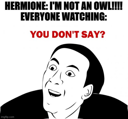 You Don't Say | HERMIONE: I'M NOT AN OWL!!!!
EVERYONE WATCHING: | image tagged in memes,you don't say | made w/ Imgflip meme maker