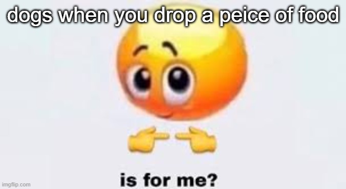 .. | dogs when you drop a peice of food | image tagged in is for me | made w/ Imgflip meme maker