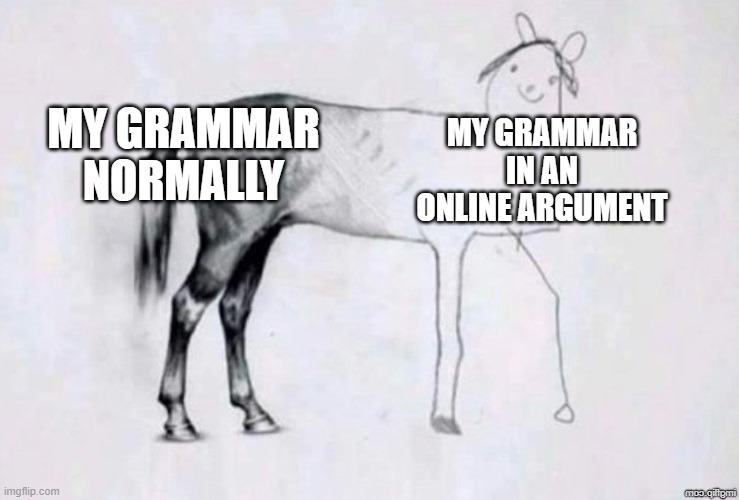 same with school | MY GRAMMAR NORMALLY; MY GRAMMAR IN AN ONLINE ARGUMENT | image tagged in horse drawing | made w/ Imgflip meme maker
