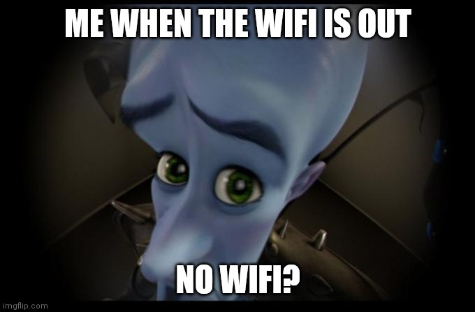 No B****es? |  ME WHEN THE WIFI IS OUT; NO WIFI? | image tagged in no b es | made w/ Imgflip meme maker