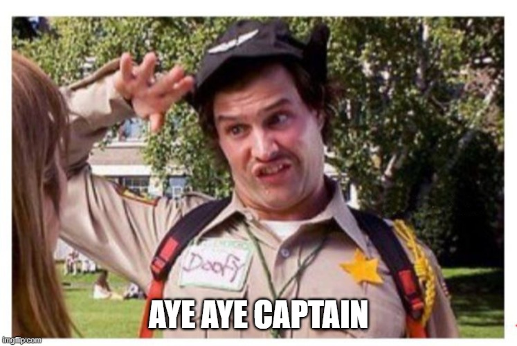 Aye Aye Captain | AYE AYE CAPTAIN | image tagged in aye aye captain | made w/ Imgflip meme maker