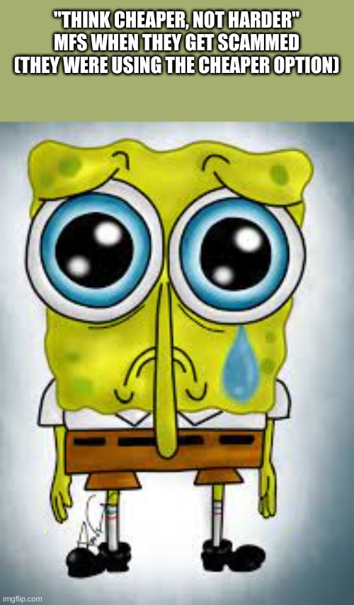 spongebob sad | "THINK CHEAPER, NOT HARDER" MFS WHEN THEY GET SCAMMED (THEY WERE USING THE CHEAPER OPTION) | image tagged in spongebob sad | made w/ Imgflip meme maker