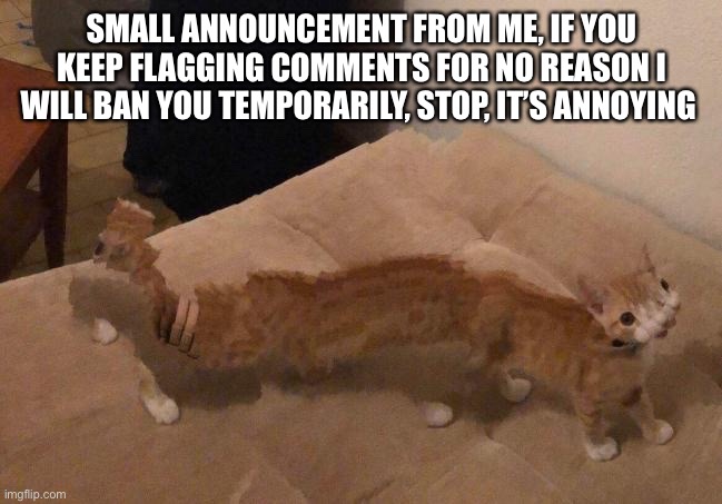 I own this stream | SMALL ANNOUNCEMENT FROM ME, IF YOU KEEP FLAGGING COMMENTS FOR NO REASON I WILL BAN YOU TEMPORARILY, STOP, IT’S ANNOYING | image tagged in kedrei face reveal | made w/ Imgflip meme maker