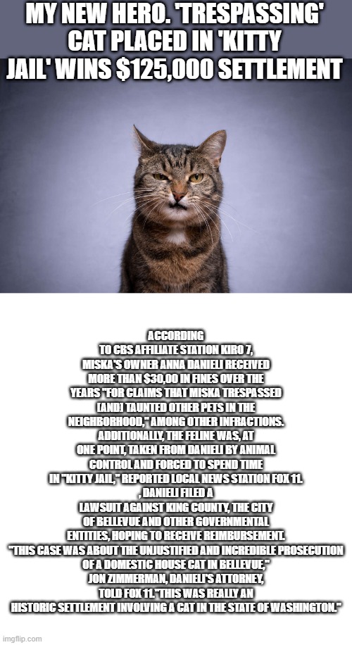 SUE um all kitty. | MY NEW HERO. 'TRESPASSING' CAT PLACED IN 'KITTY JAIL' WINS $125,000 SETTLEMENT; ACCORDING TO CBS AFFILIATE STATION KIRO 7, MISKA'S OWNER ANNA DANIELI RECEIVED MORE THAN $30,00 IN FINES OVER THE YEARS "FOR CLAIMS THAT MISKA TRESPASSED [AND] TAUNTED OTHER PETS IN THE NEIGHBORHOOD," AMONG OTHER INFRACTIONS. ADDITIONALLY, THE FELINE WAS, AT ONE POINT, TAKEN FROM DANIELI BY ANIMAL CONTROL AND FORCED TO SPEND TIME IN "KITTY JAIL," REPORTED LOCAL NEWS STATION FOX 11.
, DANIELI FILED A LAWSUIT AGAINST KING COUNTY, THE CITY OF BELLEVUE AND OTHER GOVERNMENTAL ENTITIES, HOPING TO RECEIVE REIMBURSEMENT.

"THIS CASE WAS ABOUT THE UNJUSTIFIED AND INCREDIBLE PROSECUTION OF A DOMESTIC HOUSE CAT IN BELLEVUE," JON ZIMMERMAN, DANIELI'S ATTORNEY, TOLD FOX 11."THIS WAS REALLY AN HISTORIC SETTLEMENT INVOLVING A CAT IN THE STATE OF WASHINGTON." | image tagged in memes,blank transparent square | made w/ Imgflip meme maker