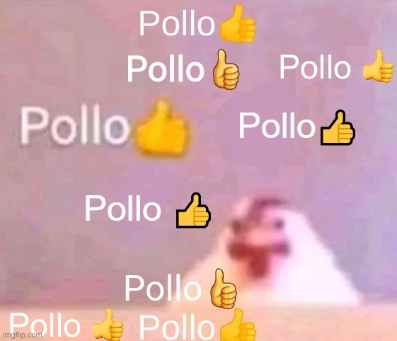 pollo intensifies | image tagged in pollo intensifies | made w/ Imgflip meme maker