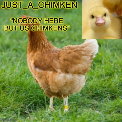 Just a chimken temp (made by Spiro) | image tagged in just a chimken temp made by spiro | made w/ Imgflip meme maker
