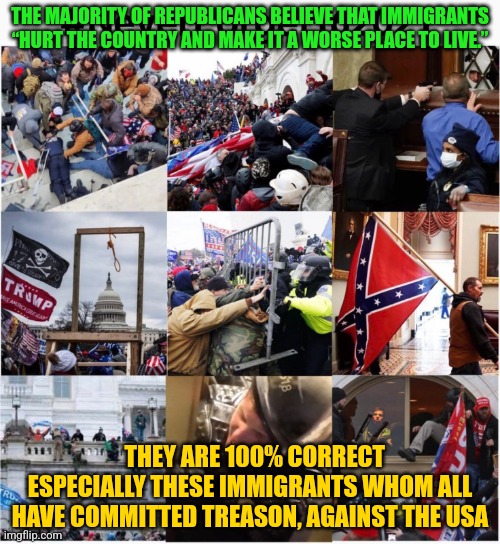 Never Forget 1/6/2021 | THE MAJORITY OF REPUBLICANS BELIEVE THAT IMMIGRANTS “HURT THE COUNTRY AND MAKE IT A WORSE PLACE TO LIVE.”; THEY ARE 100% CORRECT  ESPECIALLY THESE IMMIGRANTS WHOM ALL HAVE COMMITTED TREASON, AGAINST THE USA | image tagged in never forget 1/6/2021 | made w/ Imgflip meme maker