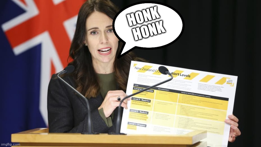 Honkcinda Ardern | HONK
 HONK | image tagged in jacinda ardern spread sheet | made w/ Imgflip meme maker