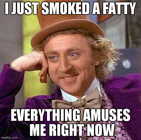 Creepy Condescending Wonka Meme | I JUST SMOKED A FATTY EVERYTHING AMUSES ME RIGHT NOW | image tagged in memes,creepy condescending wonka | made w/ Imgflip meme maker
