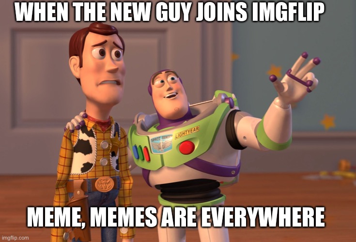 Ahh memes | WHEN THE NEW GUY JOINS IMGFLIP; MEME, MEMES ARE EVERYWHERE | image tagged in memes,x x everywhere,funny,imgflip users | made w/ Imgflip meme maker