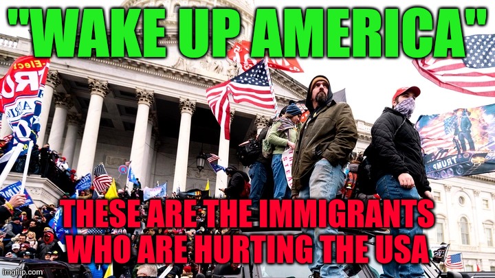 Capitol Riot | "WAKE UP AMERICA"; THESE ARE THE IMMIGRANTS WHO ARE HURTING THE USA | image tagged in capitol riot | made w/ Imgflip meme maker