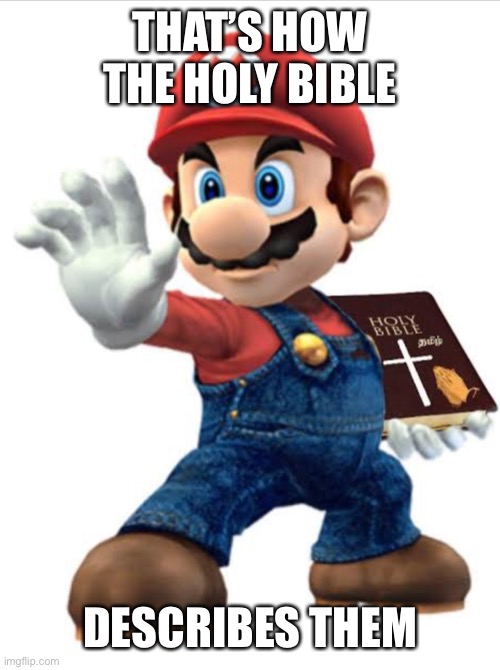 Holy bible mario | THAT’S HOW THE HOLY BIBLE DESCRIBES THEM | image tagged in holy bible mario | made w/ Imgflip meme maker