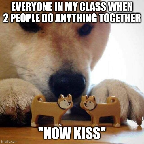 dog now kiss  | EVERYONE IN MY CLASS WHEN 2 PEOPLE DO ANYTHING TOGETHER; "NOW KISS" | image tagged in dog now kiss | made w/ Imgflip meme maker