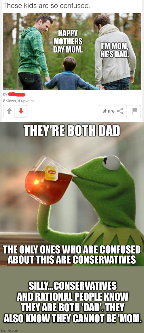 Contrary to reality in PoliticsToo... | SILLY...CONSERVATIVES AND RATIONAL PEOPLE KNOW THEY ARE BOTH 'DAD'. THEY ALSO KNOW THEY CANNOT BE 'MOM. | image tagged in two dads,poiticstoo,liberal vs conservative,reality | made w/ Imgflip meme maker