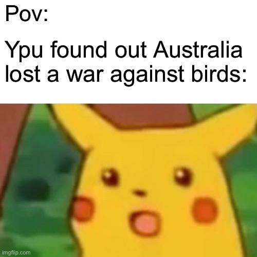 Surprised Pikachu | Pov:; Ypu found out Australia lost a war against birds: | image tagged in memes,surprised pikachu | made w/ Imgflip meme maker