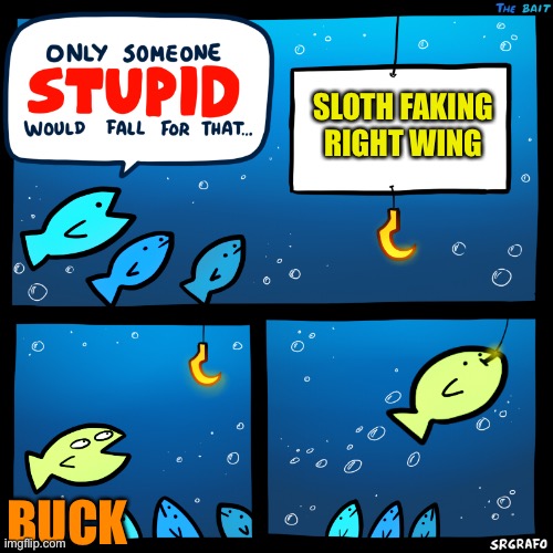 Only Someone Stupid SrGrafo | SLOTH FAKING RIGHT WING BUCK | image tagged in only someone stupid srgrafo | made w/ Imgflip meme maker