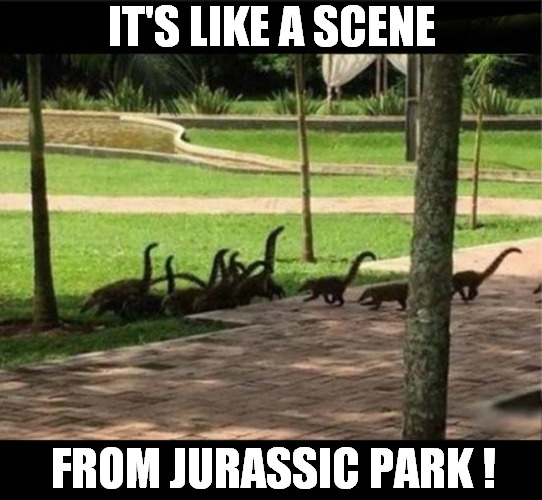 All Is Not What It Seems ! | IT'S LIKE A SCENE; FROM JURASSIC PARK ! | image tagged in dinosaurs,jurassic park,mongooses,optical illusion,front page | made w/ Imgflip meme maker