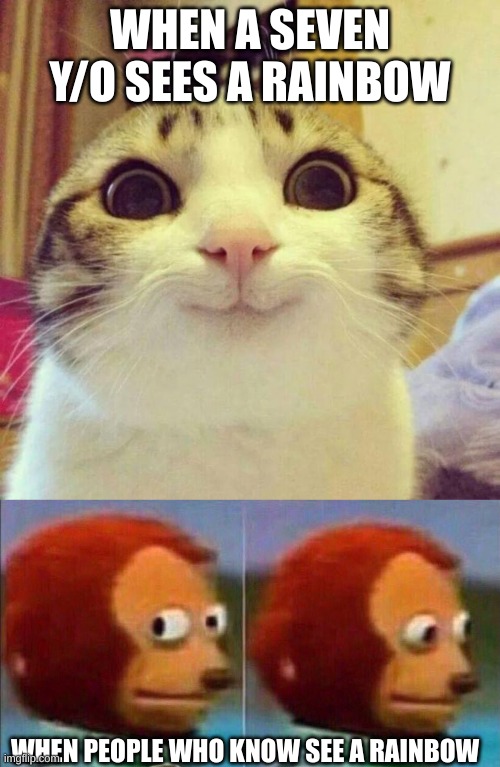WHEN A SEVEN Y/O SEES A RAINBOW; WHEN PEOPLE WHO KNOW SEE A RAINBOW | image tagged in memes,smiling cat,monkey looking away,rainbow,funny | made w/ Imgflip meme maker
