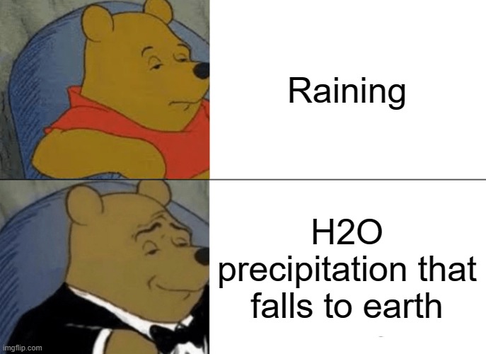 Tuxedo Winnie The Pooh | Raining; H2O precipitation that falls to earth | image tagged in memes,tuxedo winnie the pooh | made w/ Imgflip meme maker