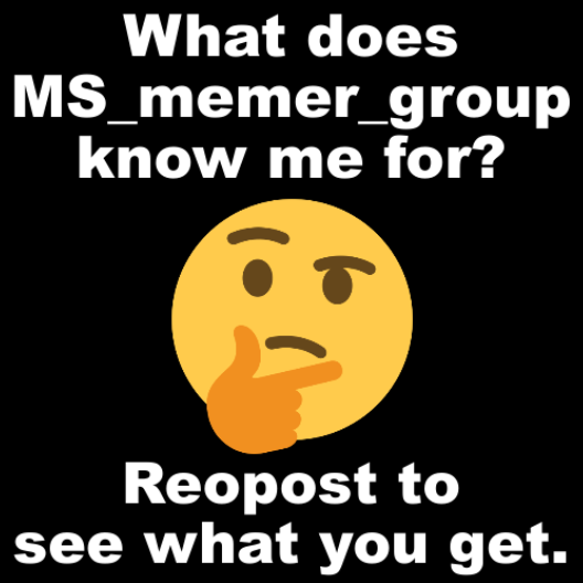 What does MS_memer_group know me for? Blank Meme Template