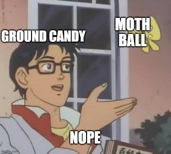 Moth Ball | MOTH BALL; GROUND CANDY; NOPE | image tagged in memes,is this a pigeon | made w/ Imgflip meme maker