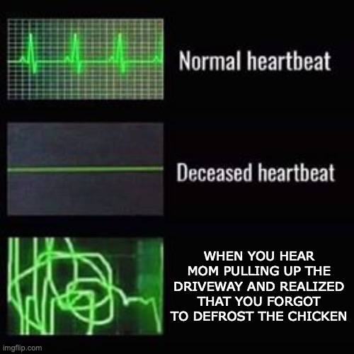 i would be in dead meat with my mom... | WHEN YOU HEAR MOM PULLING UP THE DRIVEWAY AND REALIZED THAT YOU FORGOT TO DEFROST THE CHICKEN | image tagged in heartbeat rate,mom,so true,relatable,panic attack | made w/ Imgflip meme maker
