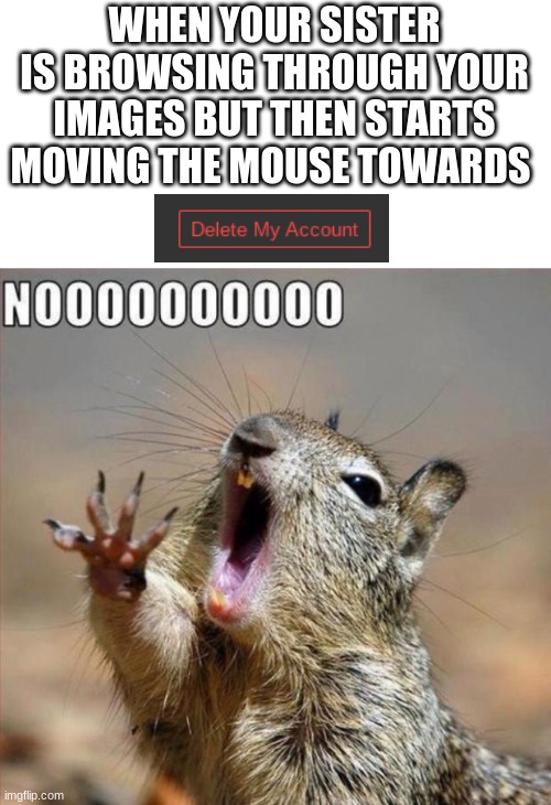 to be continued | WHEN YOUR SISTER IS BROWSING THROUGH YOUR IMAGES BUT THEN STARTS MOVING THE MOUSE TOWARDS | image tagged in noooooooooooooooooooooooo,deleted accounts,funny,sad,siblings,to be continued | made w/ Imgflip meme maker